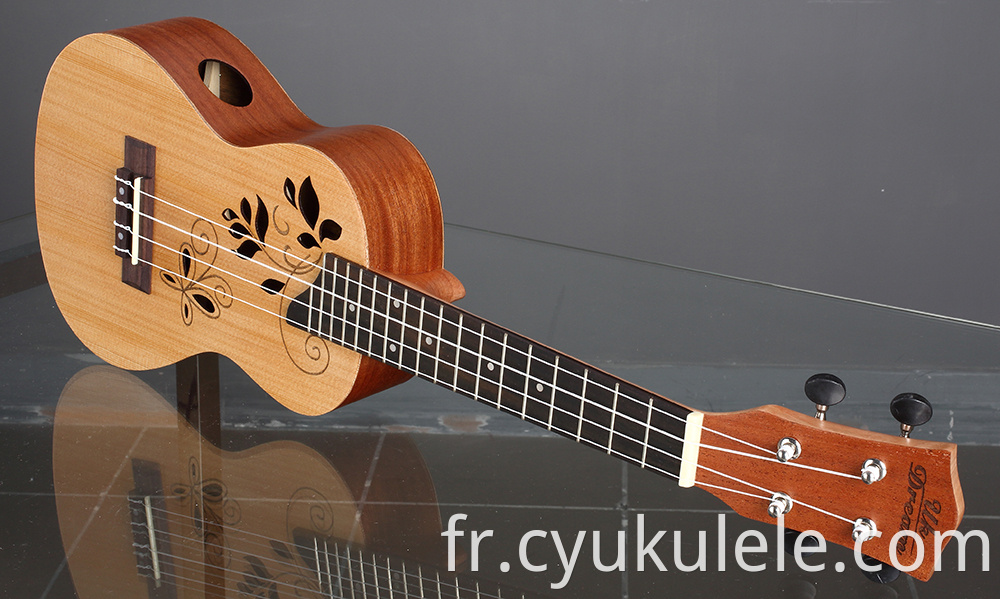 ukulele7